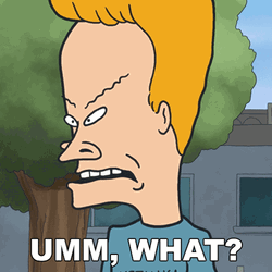 Beavis Umm What GIF