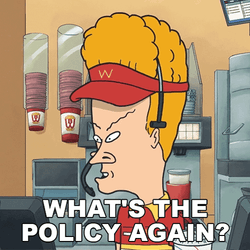 Beavis Whats The Policy Again GIF