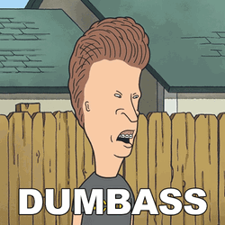 Beavis GIF