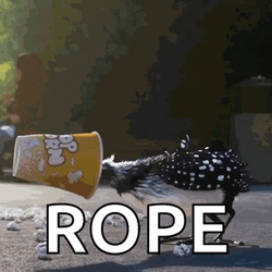 Becky Finding Dory GIF