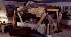 Bed Down Catalina Wine Mixer GIF