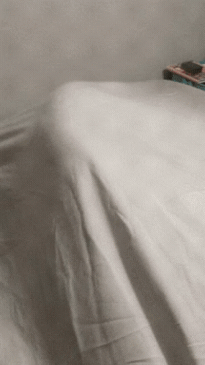 Bed With White Comforter And Stack Of Books GIF
