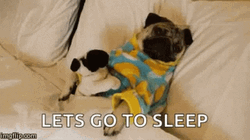 Bedtime GIF