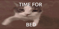 Bedtime GIF