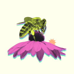 Bee And A Flower GIF