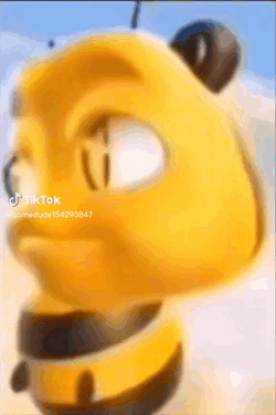 Bee Eye Brow Raise GIF