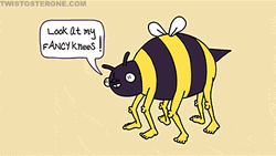Bee Fancy Knees GIF