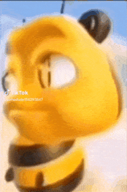 Bee GIF