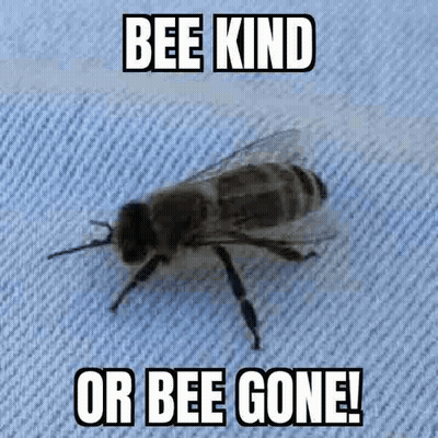 Bee Kind Or Bee Gone GIF