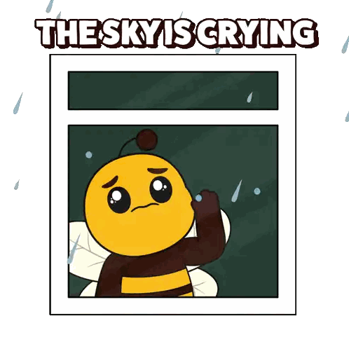 Bee Looking Out Window The Sky Is Crying Sticker