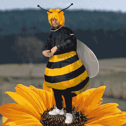 Bee Mascot Dancing GIF