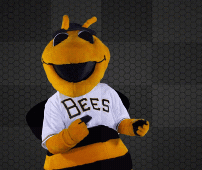 Bee Mascot In White Shirt Saying Bees GIF