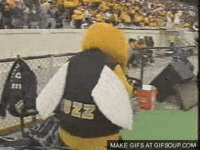 Bee Mascot Jacket Saying Jazz GIF
