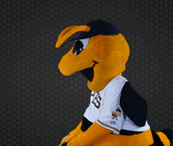 Bee Mascot Using Lightsaber GIF