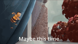 Bee Movie Maybe This Time GIF