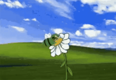 Bee On Flower In Field GIF