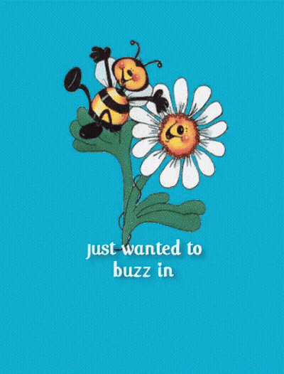 Bee On Flower Just Wanted To Buzz GIF