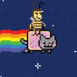 Bee Riding A Cat Meme GIF