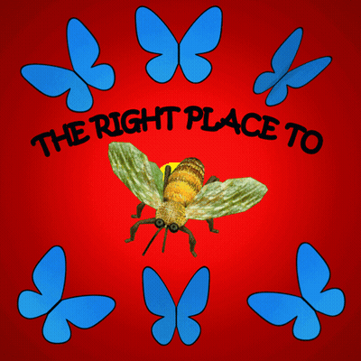 Bee Saying The Right Place To GIF