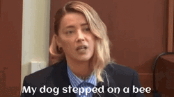 Bee Sting Amber Heard GIF