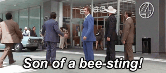 Bee Sting Angry Man GIF