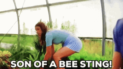 Bee Sting In The Garden GIF