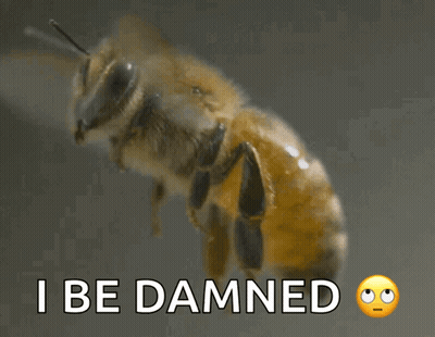 Bee With I Be Damned GIF