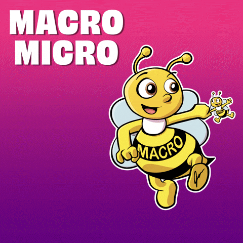 Bee With Words Macro Micro GIF