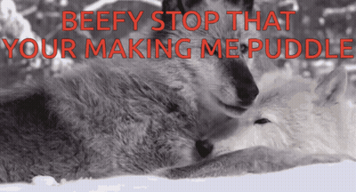 Beefy Stop That Your Making Me Puddle Wolves GIF