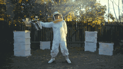 Beekeeper Dancing And Using Smoker GIF