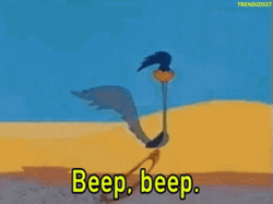 Beep Beep Road Runner Mink  GIF