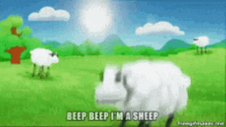Beep Beep Sheep GIF