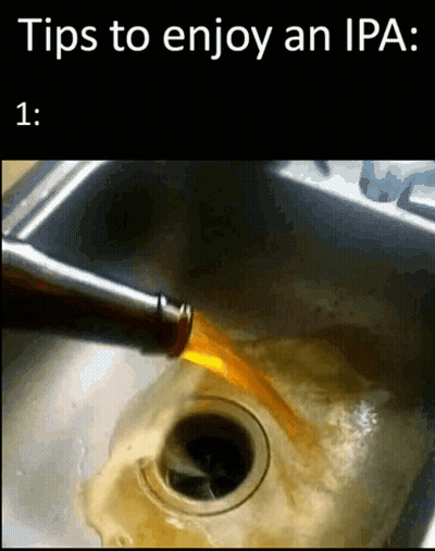 Beer Poured Into Kitchen Sink GIF