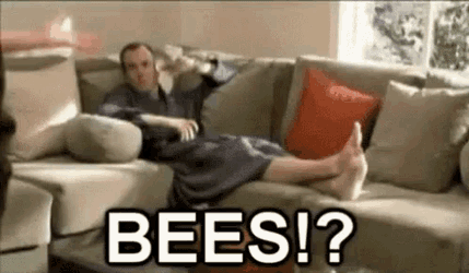 Bees Confused GIF