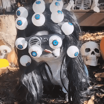 Beetle Whatever Go My Scara-Oh Oh No GIF