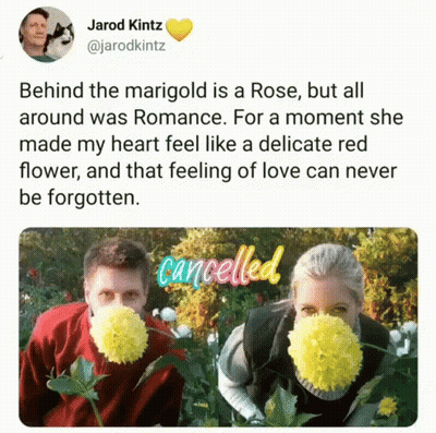 Behind The Marigold Is A Rose But All Around Was Romance .. GIF