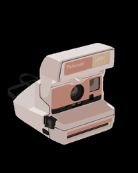 Beige Minimalist Old School Polaroid GIF