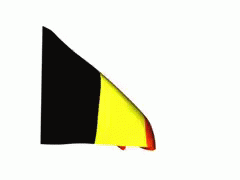Belgium Flag Blowing