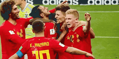 Belgium World Cup GIF