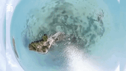 Belize Island Drone Shot