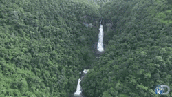 Belize Verdant Waterfall GIF