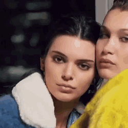 Bella Hadid Kendall Jenner GIF