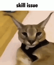 Beluga Cat Skill Issue GIF