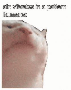 Beluga Cat Vibrate In A Pattern GIF