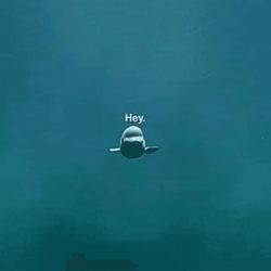 Beluga Comes Really Close GIF