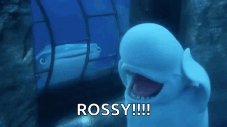 Beluga Screaming For Help In His Home GIF