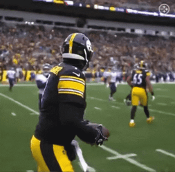 Ben Roethlisberger Waving Hands GIF