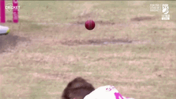 Ben Stokes Fell GIF