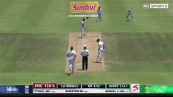 Ben Stokes People Ball GIF