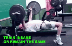 Bench Press Train Insane On Remain The Same GIF